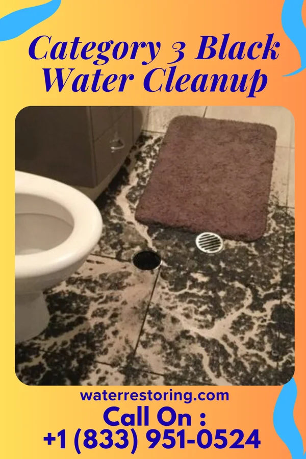 Category 3 Black Water Cleanup in Fort Jennings, OH