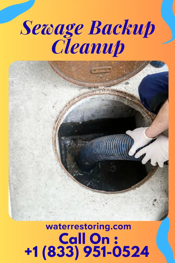 Sewage Backup Cleanup in Fort Jennings, OH