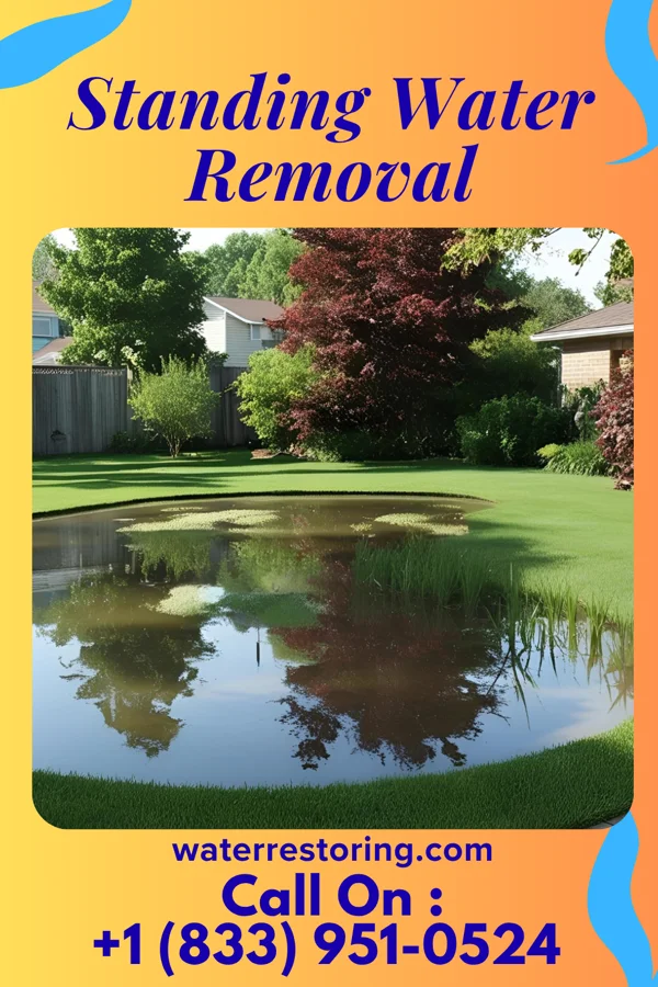 Standing Water Removal in Fort Jennings, OH